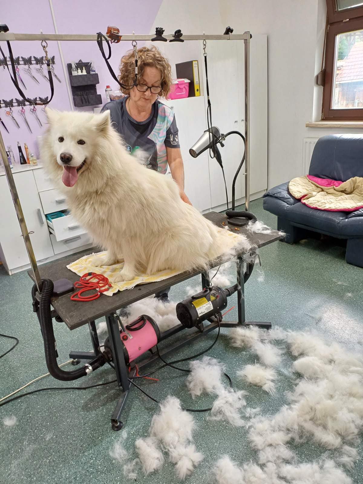 Pasji salon Daša in prijatelji